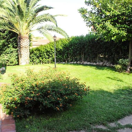 Domus Dams B&B Montescaglioso Bagian luar foto